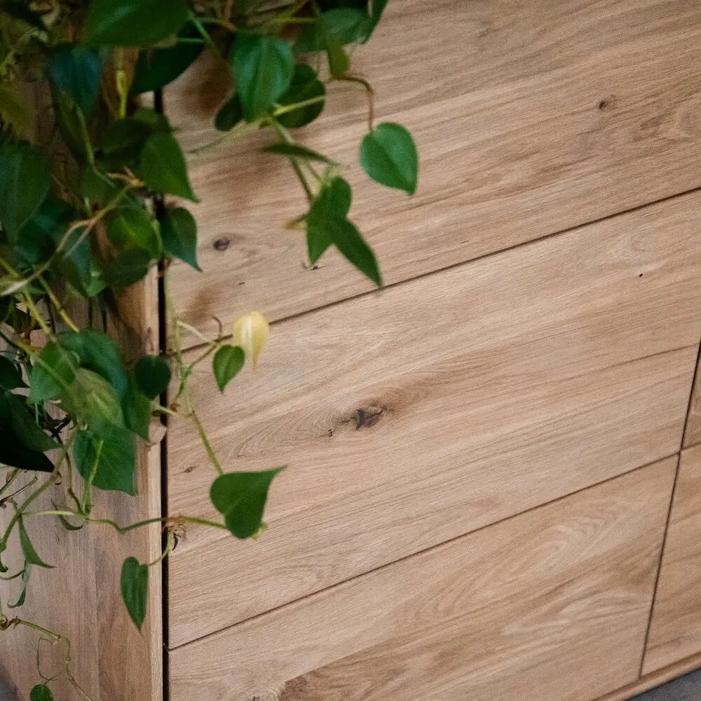 Detail einer Eichenholz-Kommode mit natürlicher Maserung, modernes Design, dekoriert mit Pflanze.