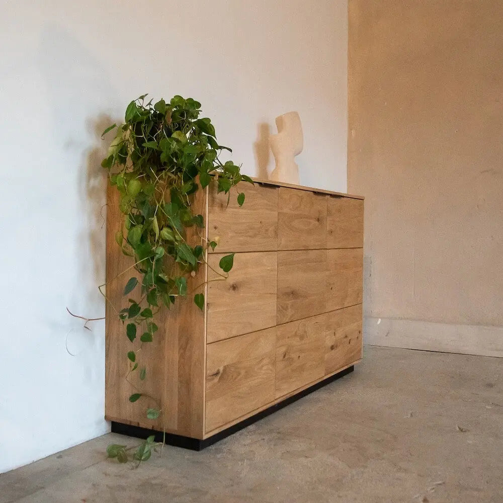 Kommode mit schwarzem Sockel, modernes Design, dekoriert mit Pflanze, für Schlafzimmer.