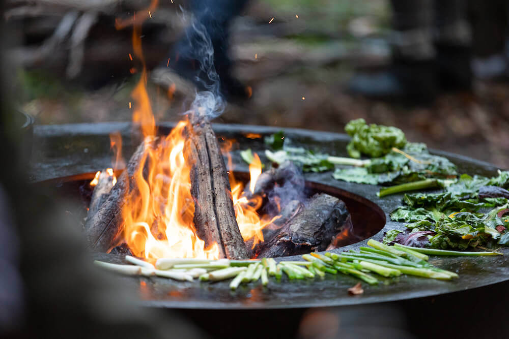 Woodcuisine | Ein Tag in der Natur