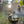 Woodboom Outdoor-Küche auf dem Birkenhof – Feuerring-Grill, offenes Feuer & gemeinsames Kocherlebnis.
