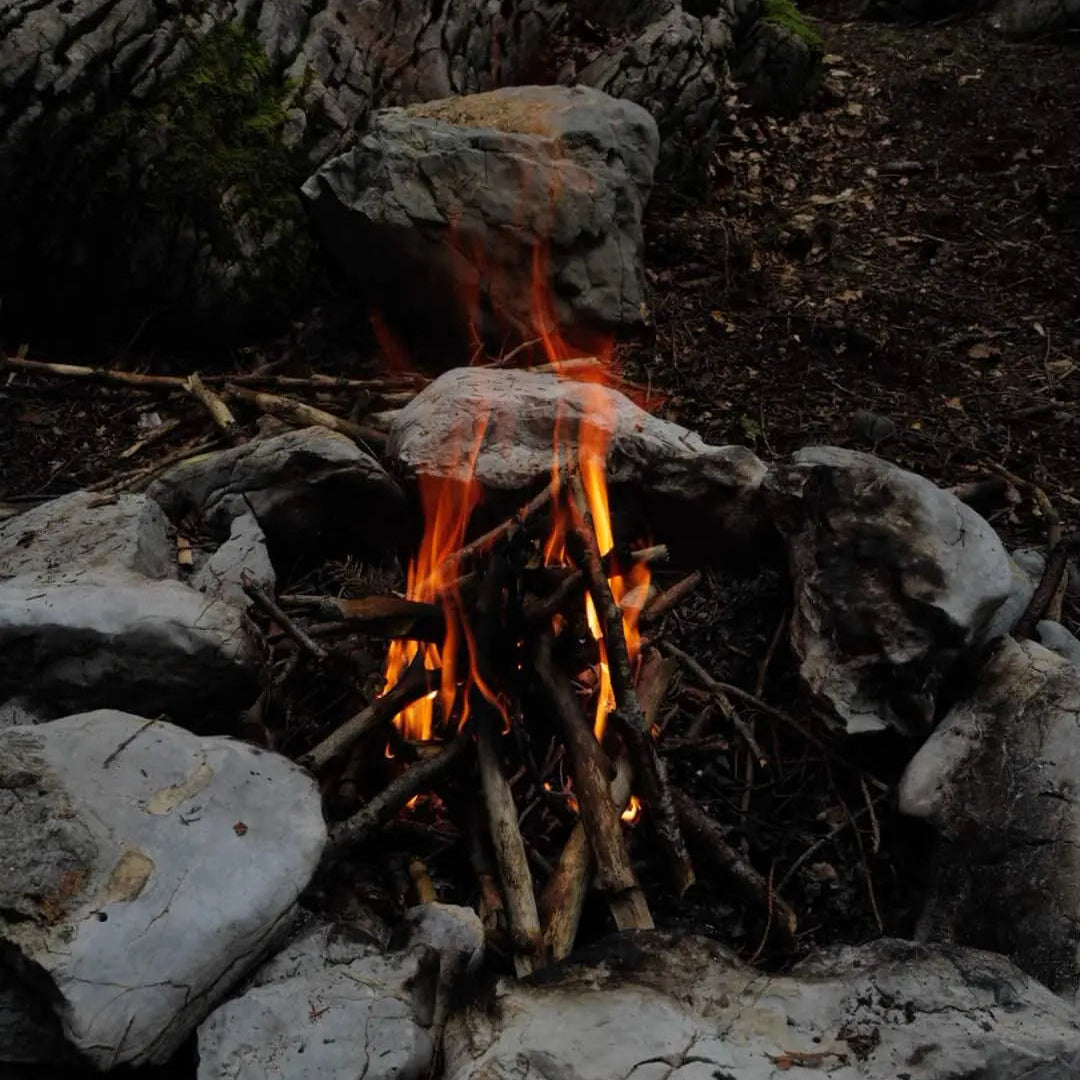 Lagerfeuer in der Natur
